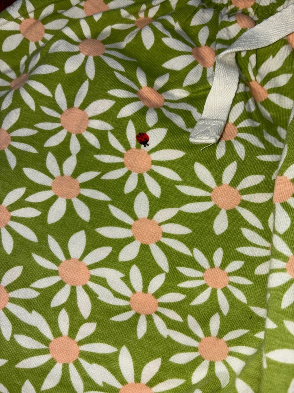 Hanna Andersson Green Daisy Print Elastic Waist Skort